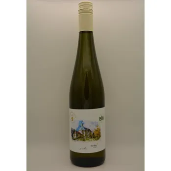 Víno Savilon 2024, moravské zemské víno, Vinařství Pilčík, suché