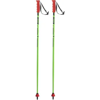 Sjezdová hůlka ELAN RACEROD RCS JR Barva: Zelená, Velikost: 100