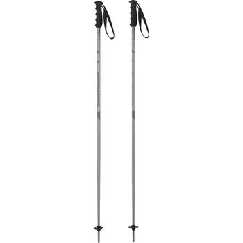 Sjezdová hůlka ELAN SPEEDROD GREY Barva: Šedá, Velikost: 125