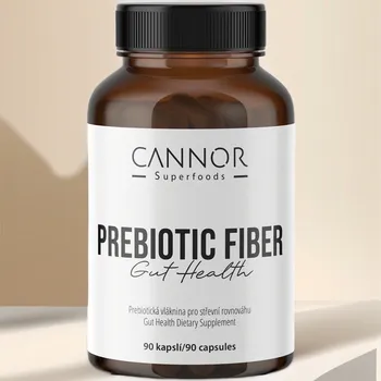 Prebiotická vláknina pro střevní mikrobiom - doplněk stravy Prebiotic Fiber (90 kapslí)