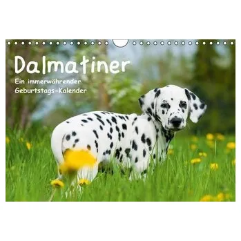Příroda Dalmatiner - Ein immerwährender Geburtstags-Kalender (Wandkalender immerwährend DIN A4 quer) - Dzierzawa, Judith