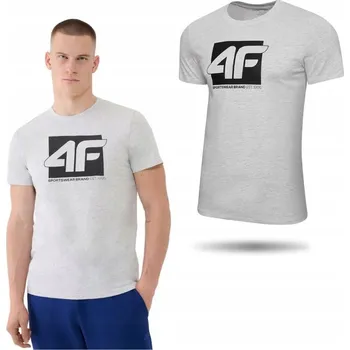 Pánské tričko Pánské tričko s kulatý výstřihem 4F, velikost 3XL