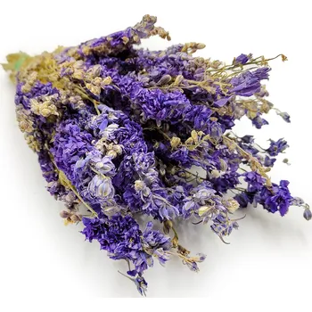 mech-mech.cz Sušená Ostrožka - (Delphinium) - modrá