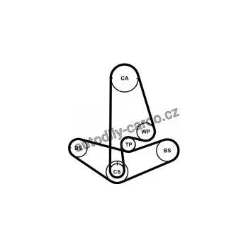 Rozvod motoru Sada rozvodového řemene CONTINENTAL CTAM CT799K2PRO
