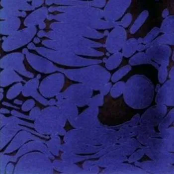 Zahraniční hudba LP Larry Gus: Years Not Living 2013