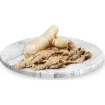 Jelux Vepřové střevo tlusté 9 m