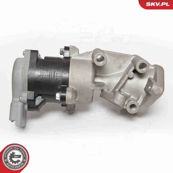 Ventil palivového systému AGR-Ventil ESEN SKV 14SKV072