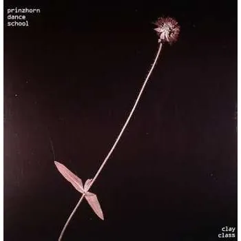 Zahraniční hudba LP Prinzhorn Dance School: Clay Class 2012