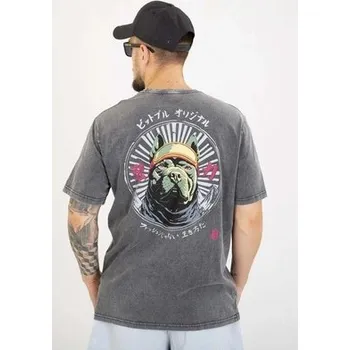 Pánské tričko Tričko Pitbull Mt Fuji Washed, velikost 190, šedá, velikost L