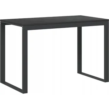 Psací stůl Počítačový stůl černý 110 x 60 x 73 cm z dřevotřísky a kovu