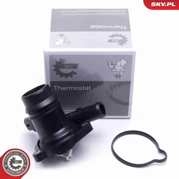 Těsnění motoru Termostat, chladivo SKV 20SKV138