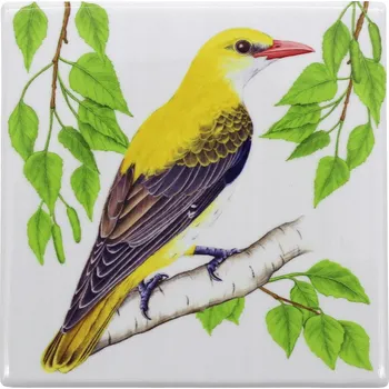 Hrnek Tukan Media Ptáci polský keramika 0 ml