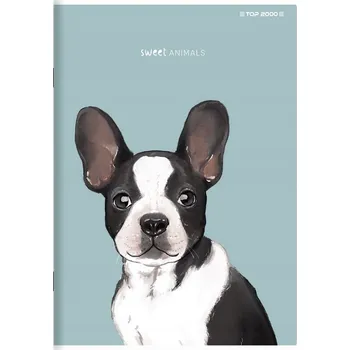 Sešit Sešit A5 s mřížkou TOP-2000, 80 listů