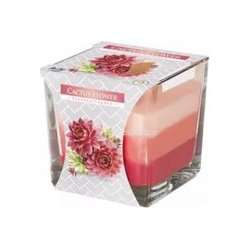 Bytová dekorace Bispol Aura Cactus Flower 170 g