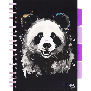 Sešit Sešit B5 s linkami Strigo, 100 listů