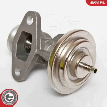 Ventil palivového systému AGR-Ventil ESEN SKV 14SKV068