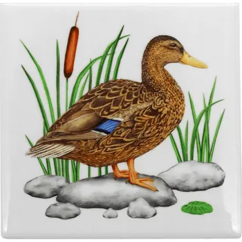 Hrnek Tukan Media Ptáci Polský keramika 0 ml