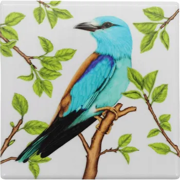 Hrnek Tukan Media Ptáci polský keramika 0 ml