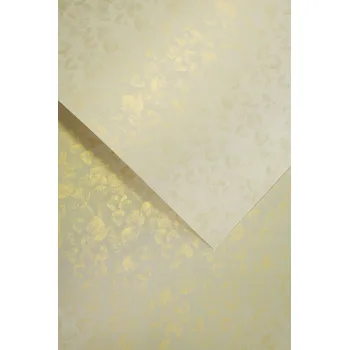 Barevný papír Ozdobný karton galeria papieru A4 250g, 20 listů, krémový