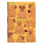 Baloušek Tisk Notes A5 96 listů…