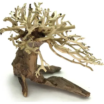 Akvaristika Bonsai Driftwood No.10 Z07783 15 x 12 x 13 cm