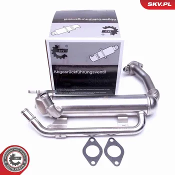 Ventil palivového systému AGR-Ventil SKV 14SKV223