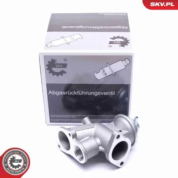 Ventil palivového systému AGR-Ventil ESEN SKV 14SKV180