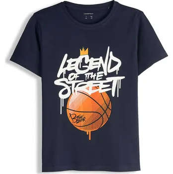 Chlapecké tričko GATE Bavlněné tričko s potiskem 13Y 426-0195/791