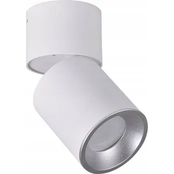 Nástěnné svítidlo Nástěnný reflektor kulatý Polux bílý, šedý