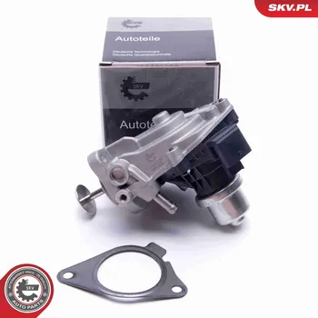 Ventil palivového systému AGR-Ventil ESEN SKV 14SKV233