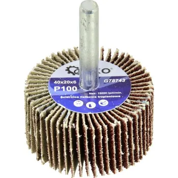 Příslušenství k nářadí Geko Listová brusná kotoučová bruska 40x20X6 P100 (50/100)
