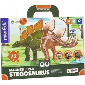 Obraz Vzdělávací magnetická hra - Stegosaurus