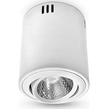 Stropní svítidlo Brilum 12 W LED, bílá teplá