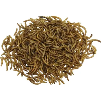 Technika k zahradnímu jezírku PTMR Moučné červy - Mealworms 2,5L