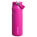 Stanley The IceFlow Bottle Flip Straw…