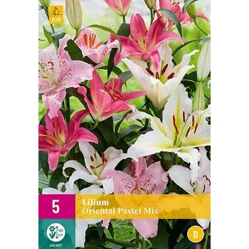 Cibulovina Lilie ORIENTAL PASTEL MIX XXL (5 cibulÍ)