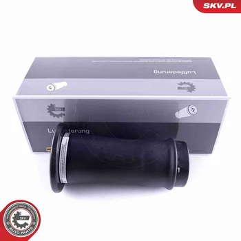 Vzduchová pružina, podvozek ESEN SKV 58SKV039