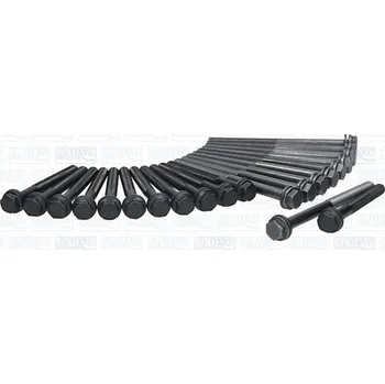 Spojovací materiál motoru Sada šroubů hlavy válce AJUSA 81003200