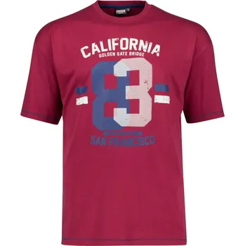 Pánské tričko ADAMO tričko pánské GOLDEN nadměrné velikosti 6XL bordó