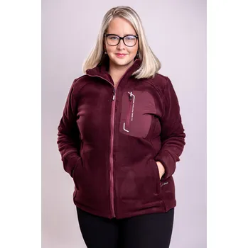 Pánská mikina Temster Fleesová vyteplená mikina DREAM Barva: Vínová, Velikost: 3XL