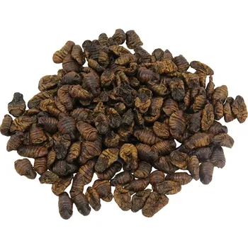 Technika k zahradnímu jezírku PTMR Bourec morušový - Silworms 2,5 L