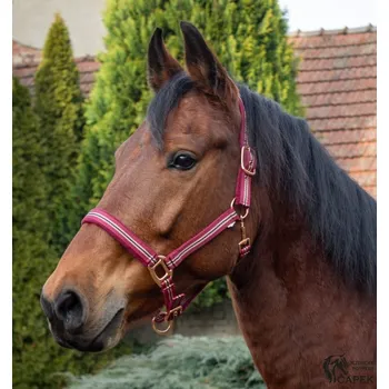 Ohlávka Kentaur -ROSEGOLD- - Vínová - Cob