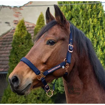 Ohlávka Kentaur -ROSEGOLD II- - Tm. modrá - Full