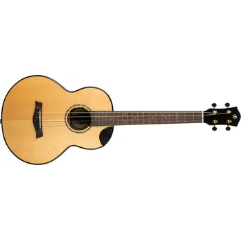 Strunný nástroj FLIGHT Aurora Baritone EQ-A