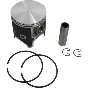 Píst motoru Píst Vertex FANTIC TRIAL 250 2T (73,957mm) (kroužky 53515007400 X 1, 52715007400 X 1) (Píst Vertex FANTIC TRIAL 250 2T (73,957mm) (kroužky 53515007400 X 1, 52715007400 X 1))