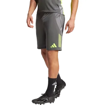 Pánské šortky Adidas Tiro 24 Competition Training šedé