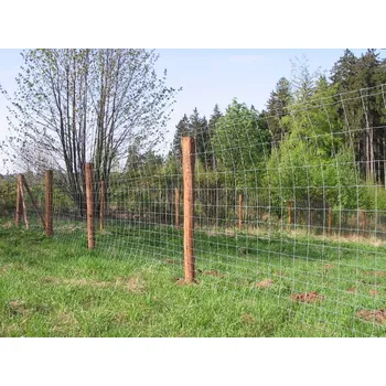 Pletivo Lesnické pletivo - různé výšky a délky - 2.jakost - Vysoká Kvalita Za Skvělou Cenu