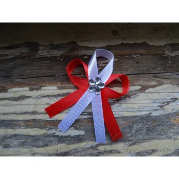 Svatební dekorace Svatební vývazek - červená / bílá 26