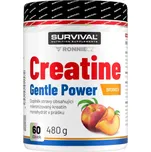 Survival Creatine Monohydrate Gentle Power 320 g