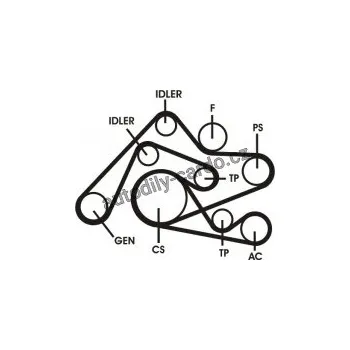Rozvod motoru Sada drážkového řemene CONTINENTAL CTAM 6PK2404D1